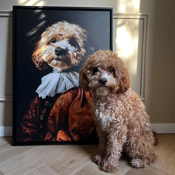 Apricotkleurige poedel met witte snoet zit trots naast zijn renaissance-portret op canvas, met barokke kraag en oranje gewaad