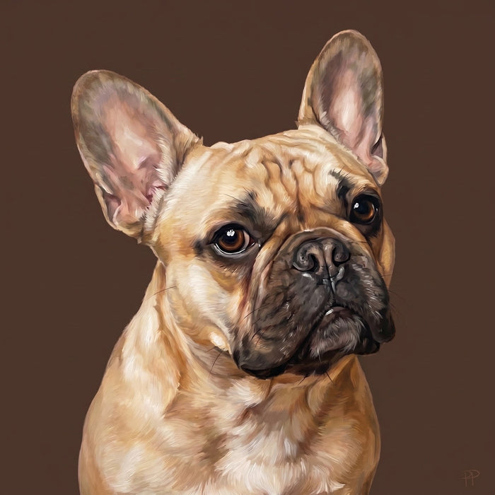 Classic Portrait
